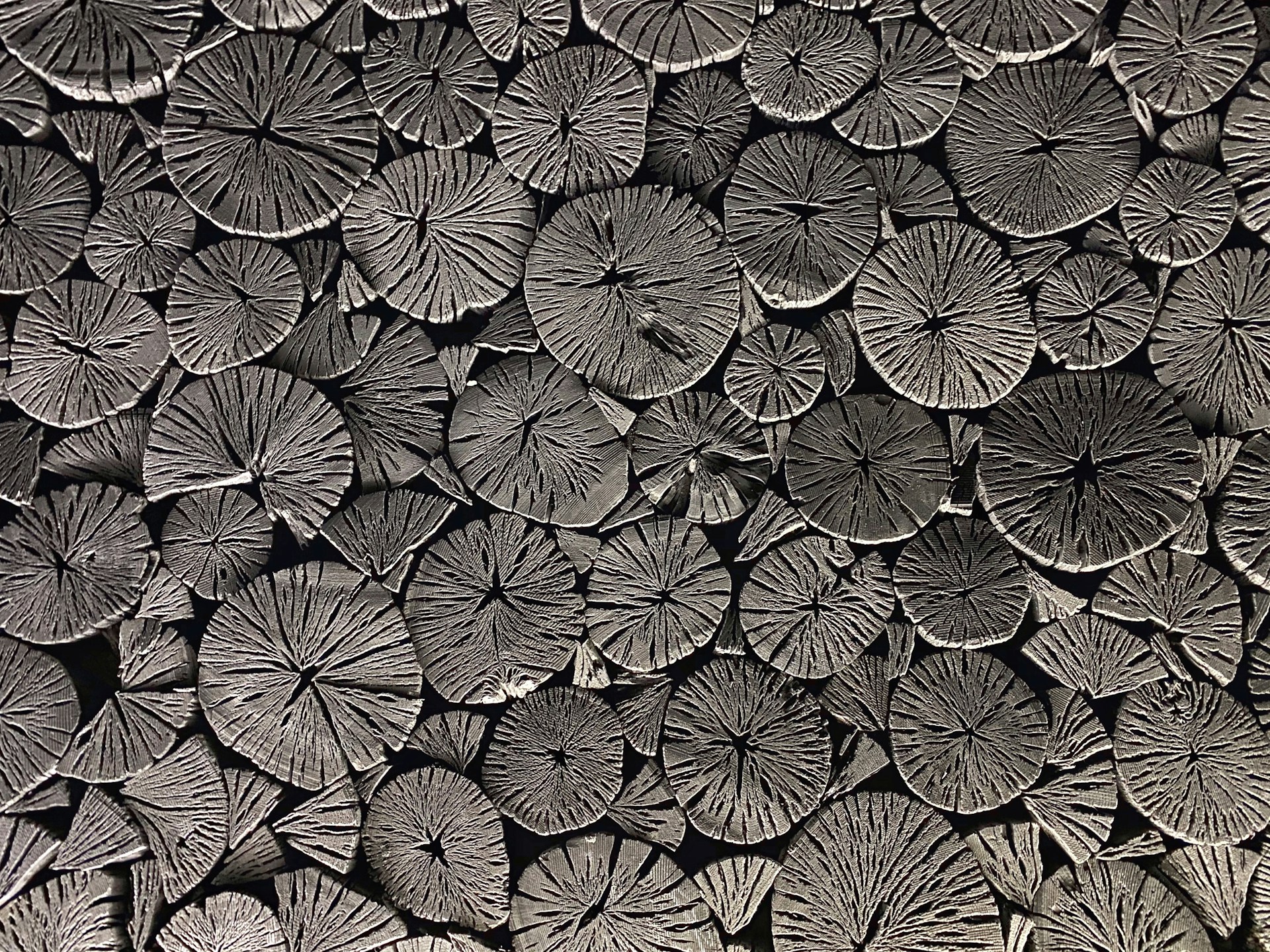 Black And White Leaf Print 1920x1440