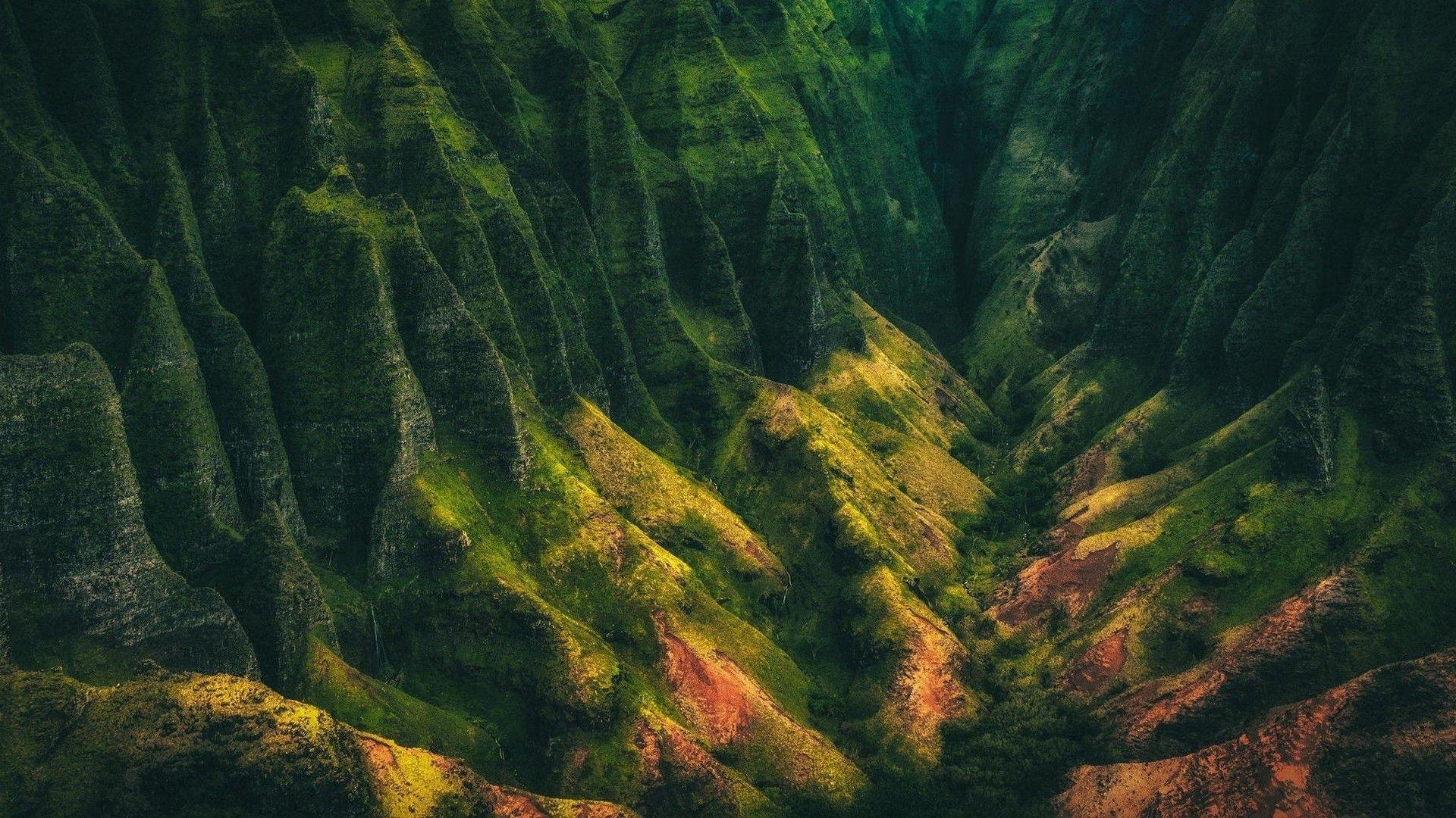 Kauai Forest Wallpaper 1920x1080