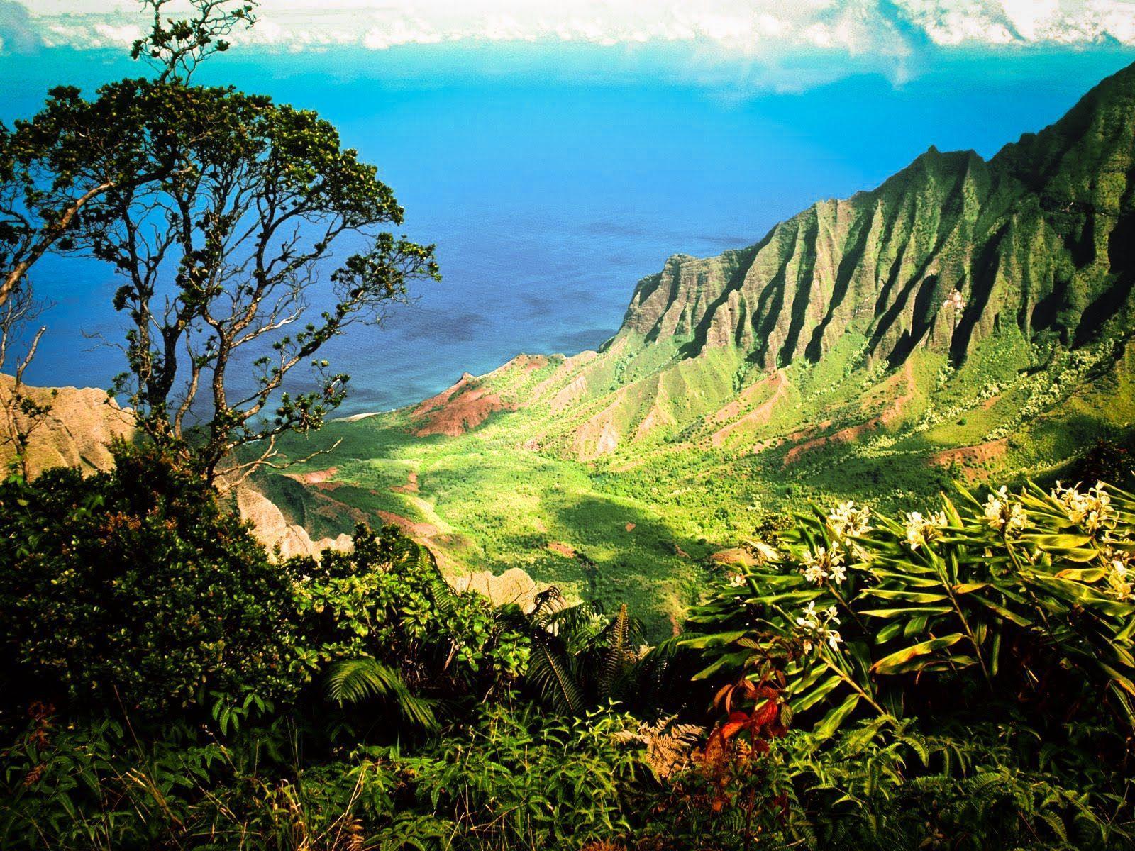 Kauai Iphone Wallpaper 1600x1200