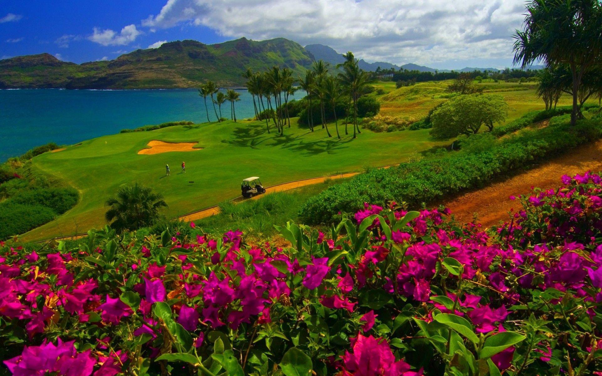 Kauai Wallpaper Images 1920x1200