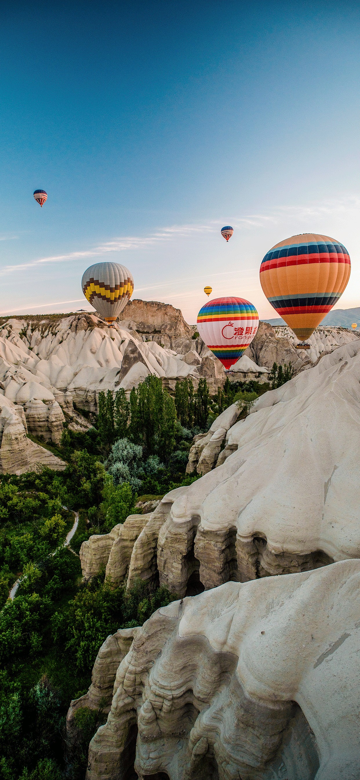 Hot Air Balloon Iphone 6 Plus Wallpaper 1242x2688