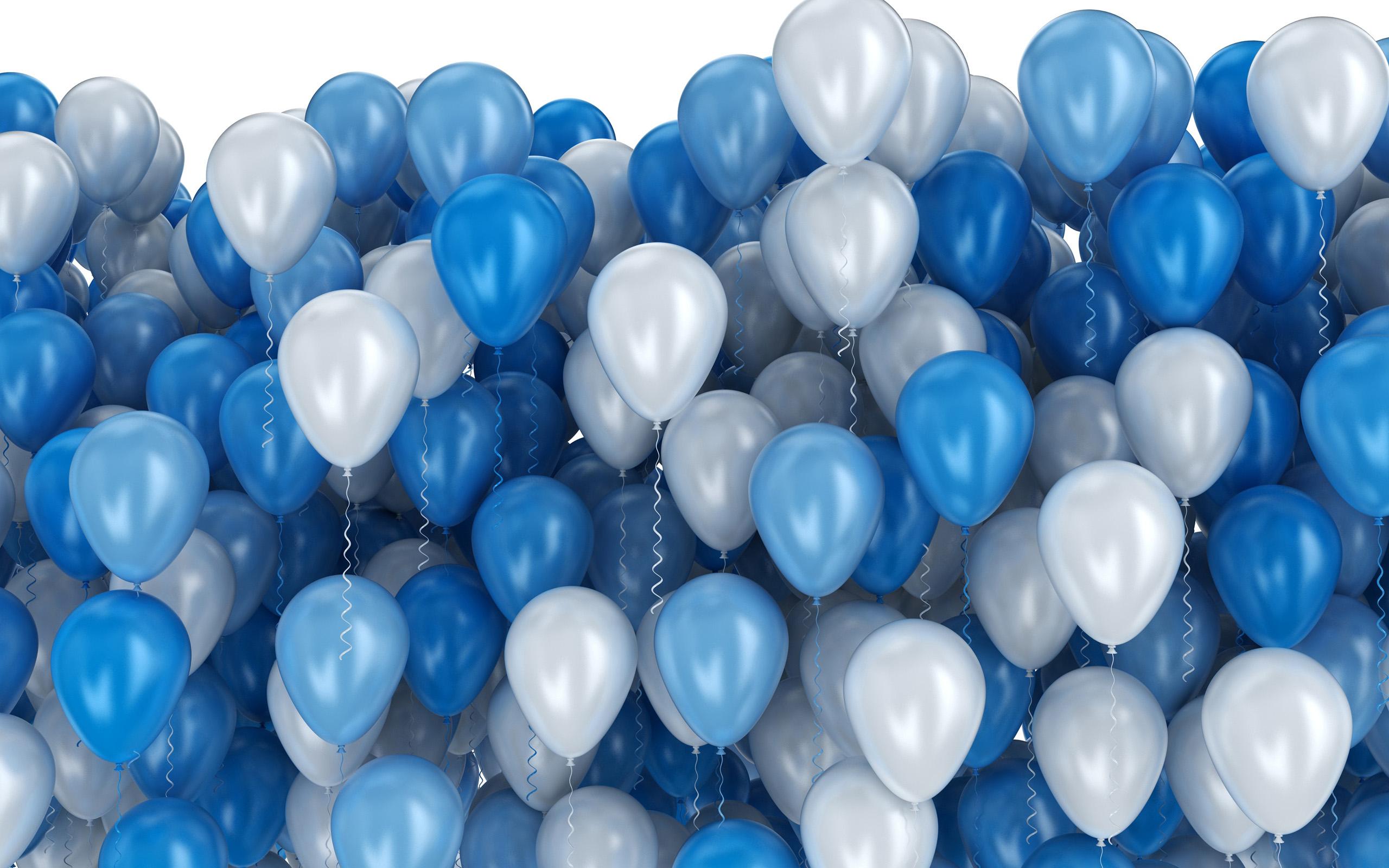 Blue Balloon Dog Wallpaper 2560x1600