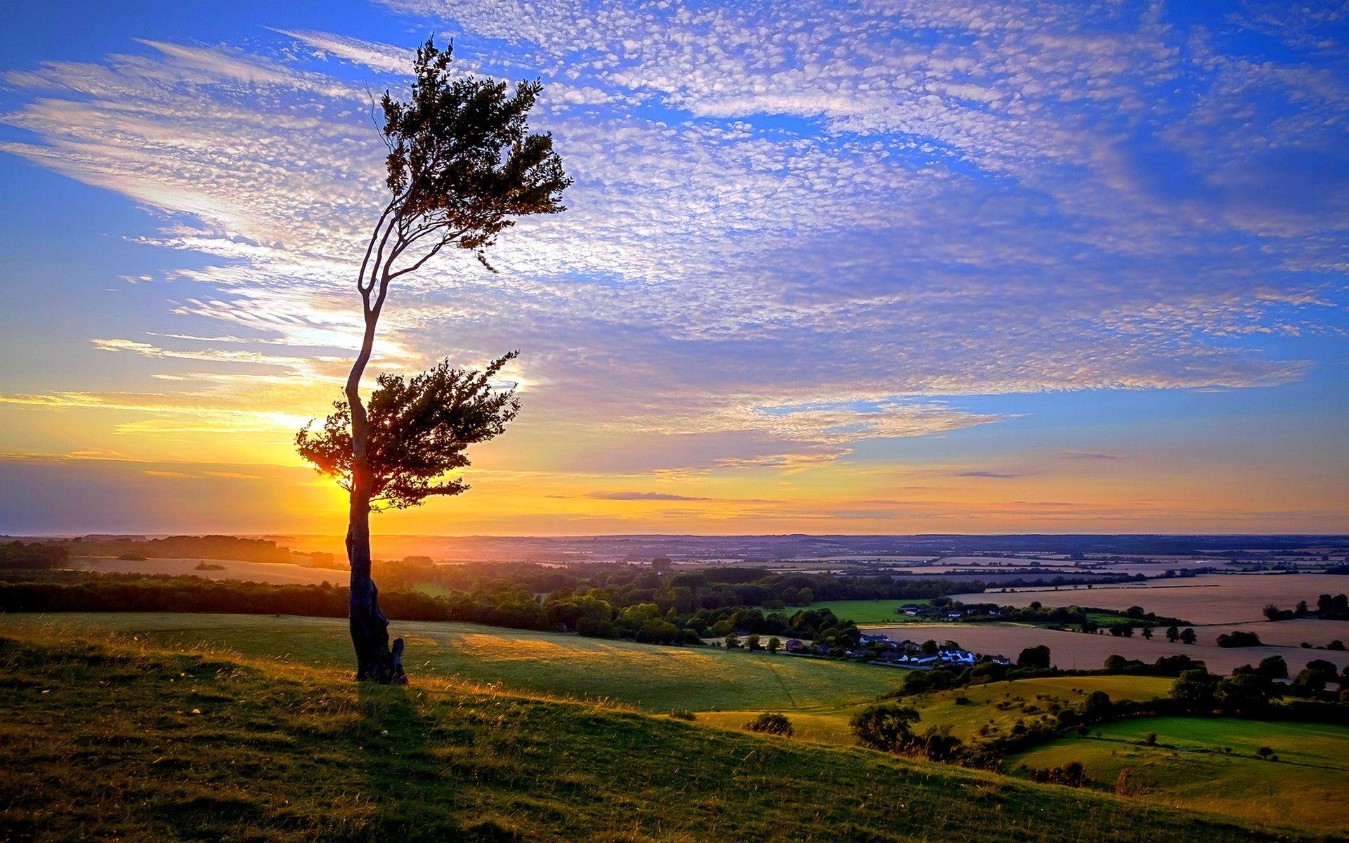 Dusk Fall Wallpaper 1920x1200