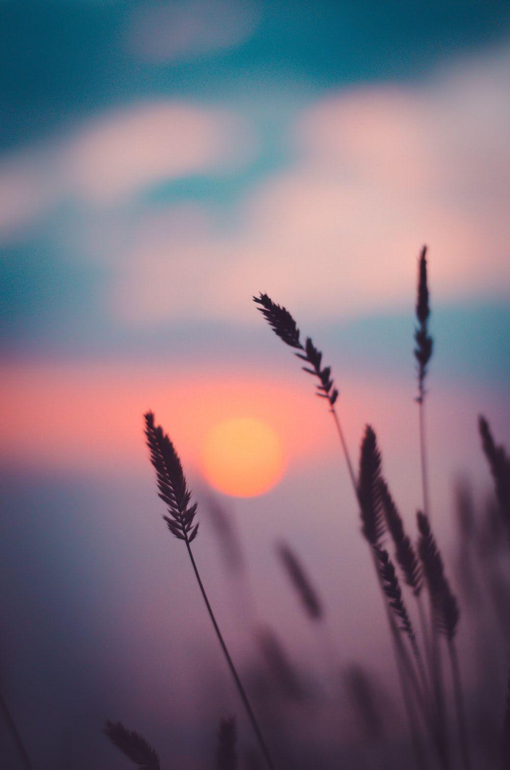 Dusk Wallpaper Iphone 1000x1510