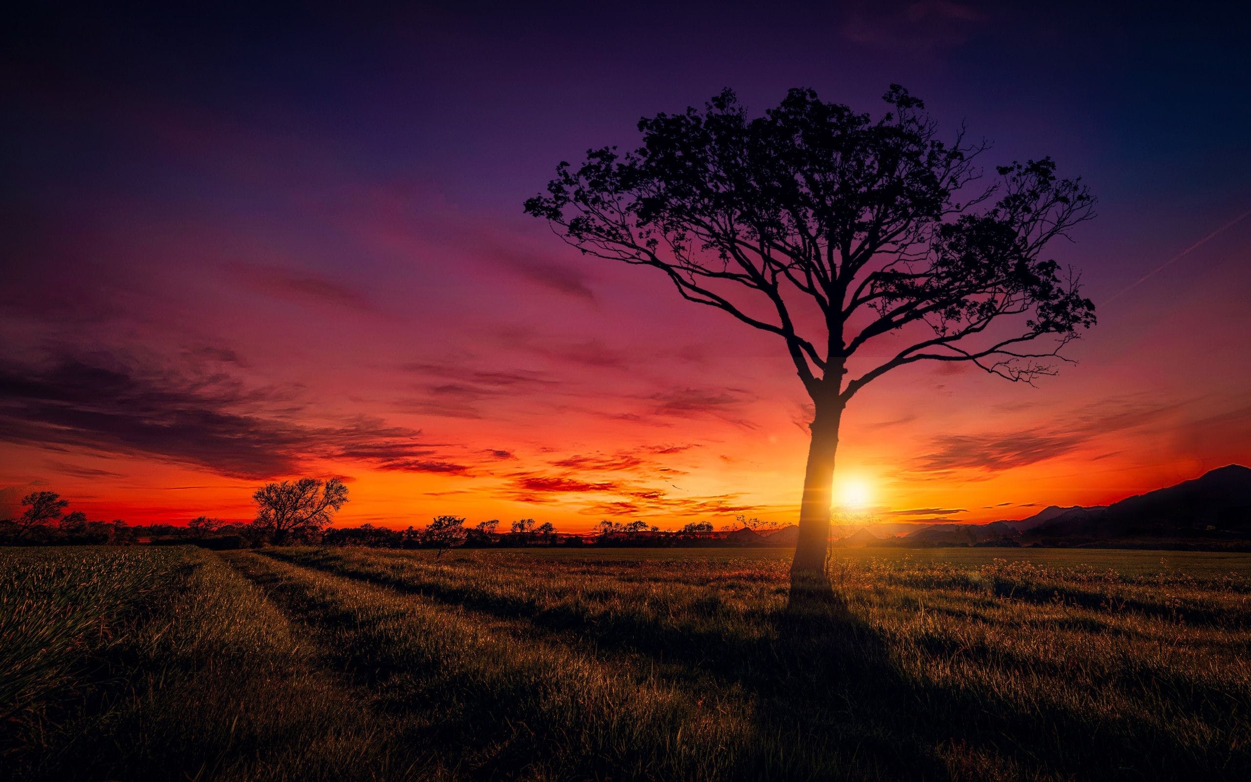 High Resolution Wallpaper Dusk Sky 2560x1600