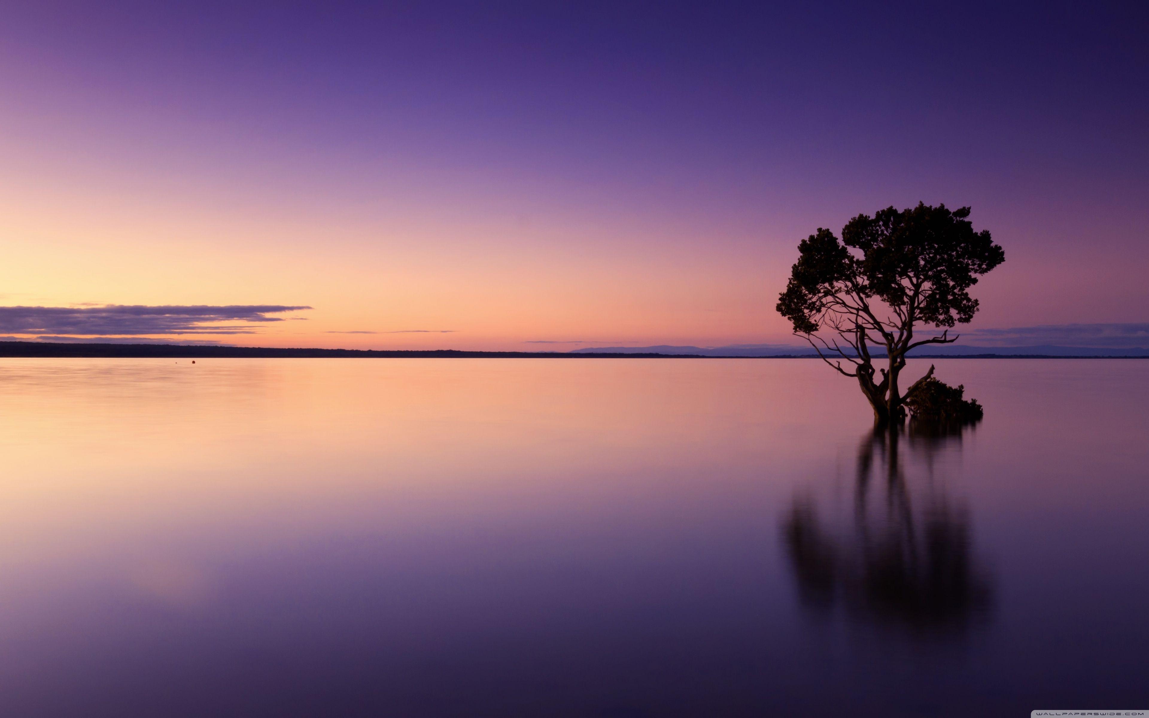 Pink Dusk Wallpaper 3840x2400