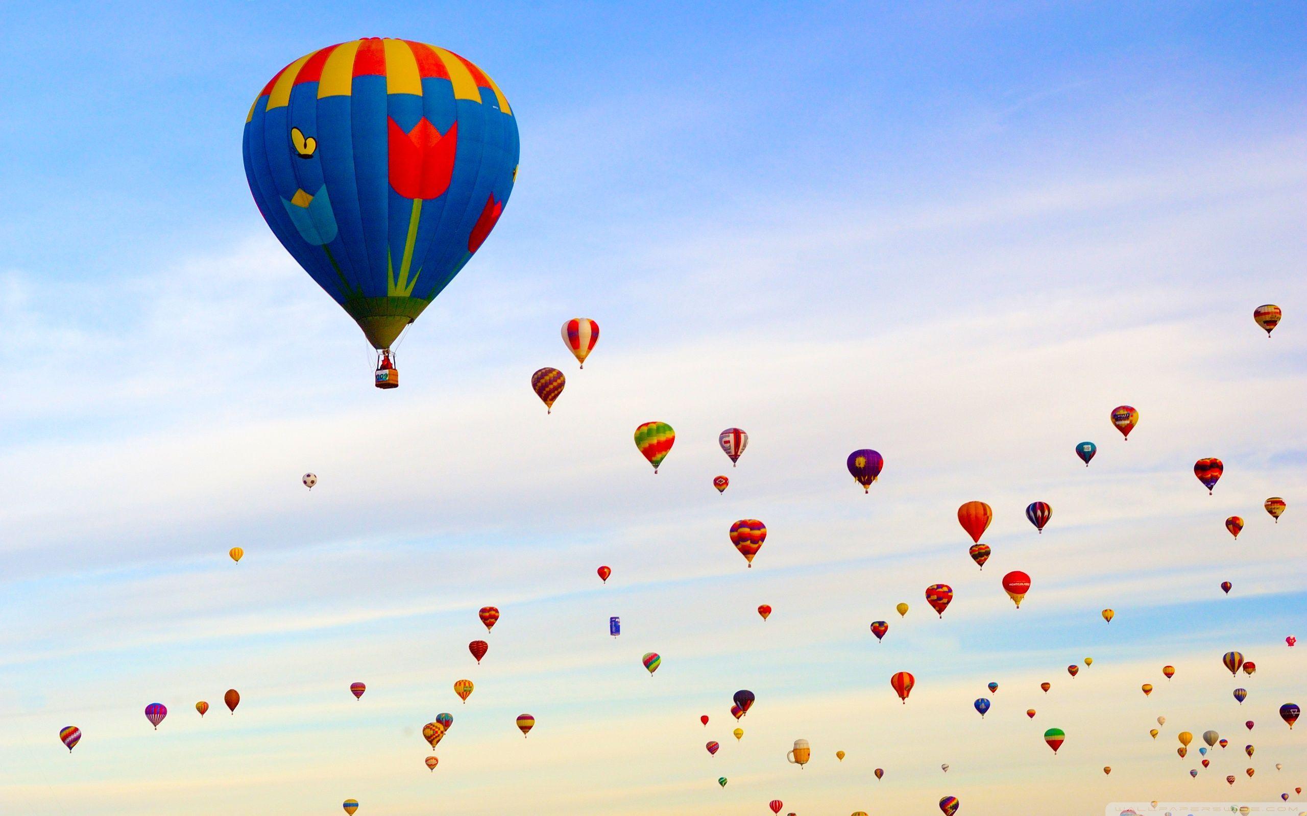 Hot Air Balloon Mural Wallpaper 2560x1600