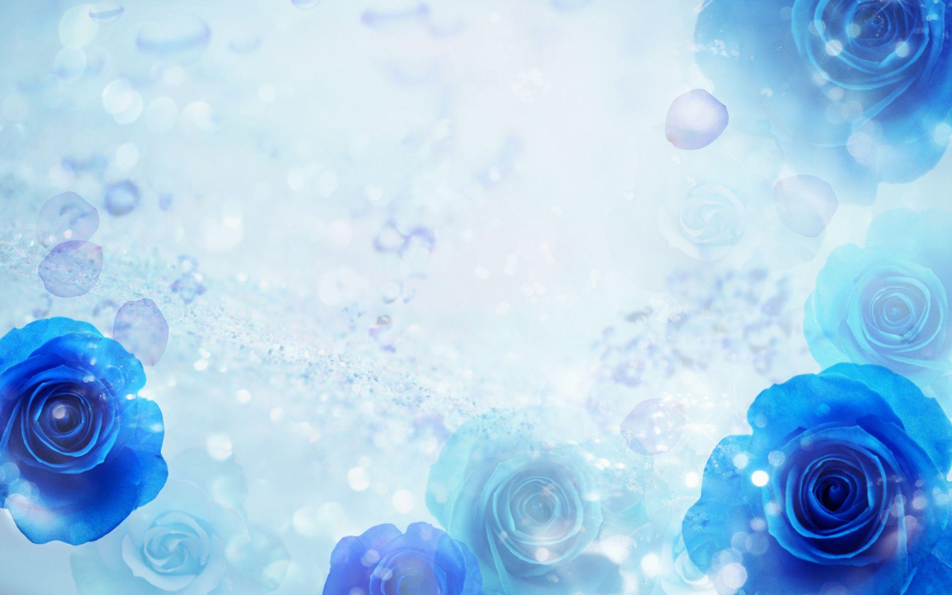 White And Aqua Blue Wallpaper 1920x1200