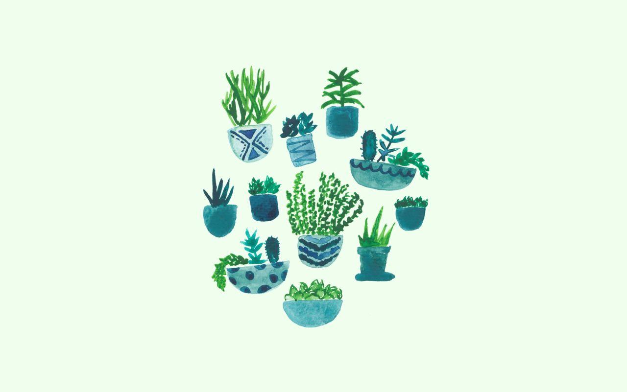 Cute Cactus Wallpaper Computer 1280x801