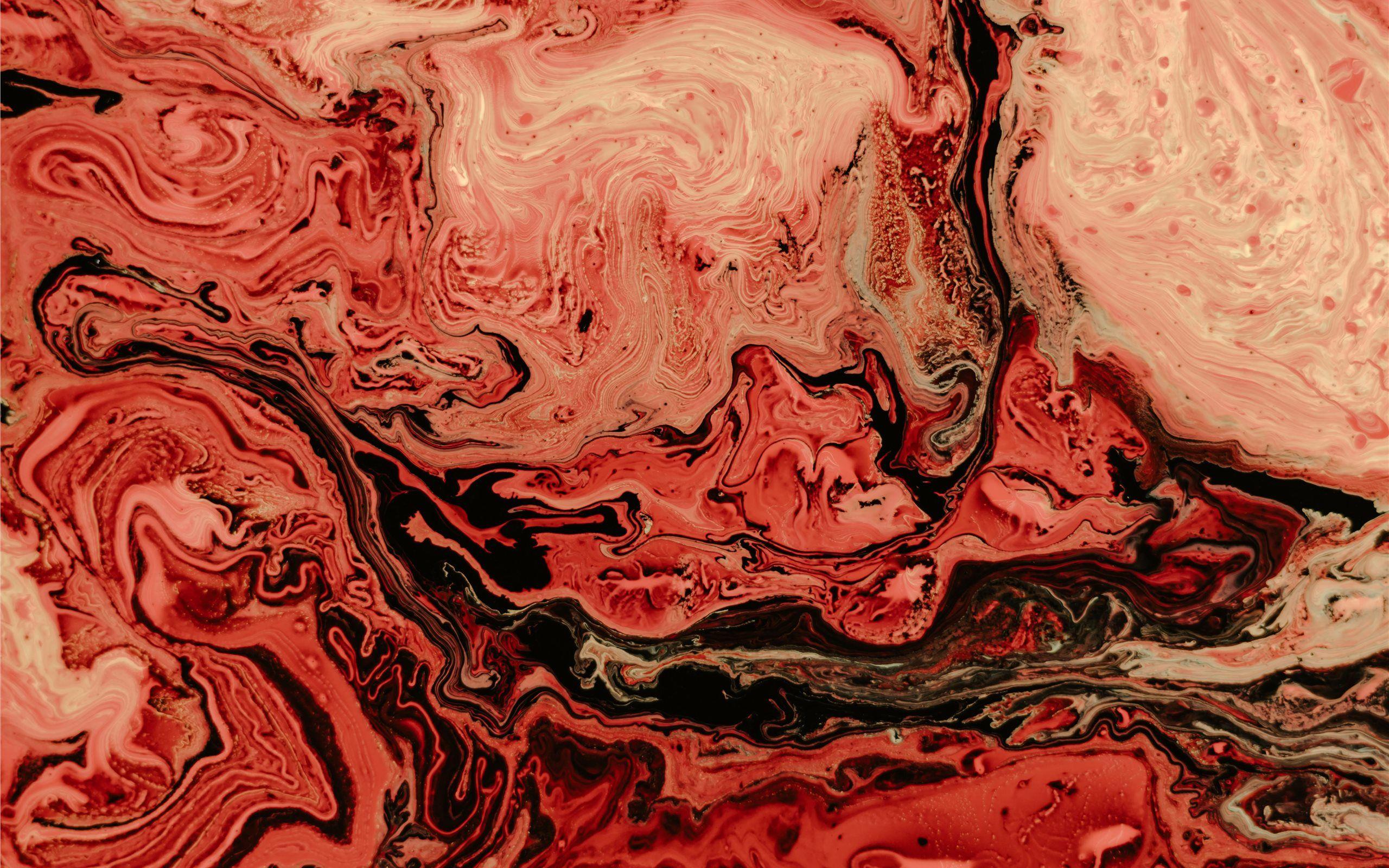 Brown Cream And Red Wallpaper 2560x1600