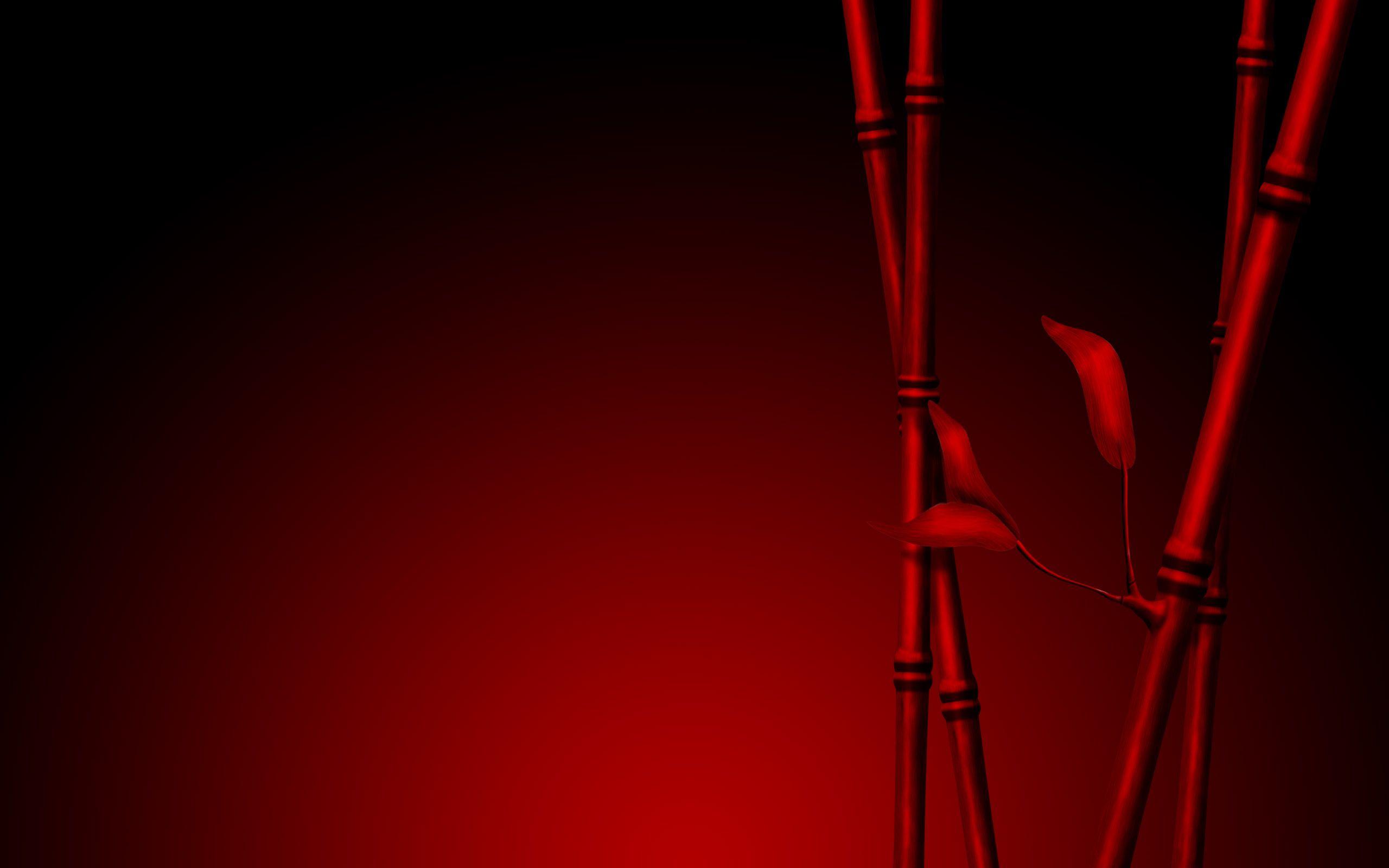 Red Brown Wallpaper Nature Dark 2560x1600