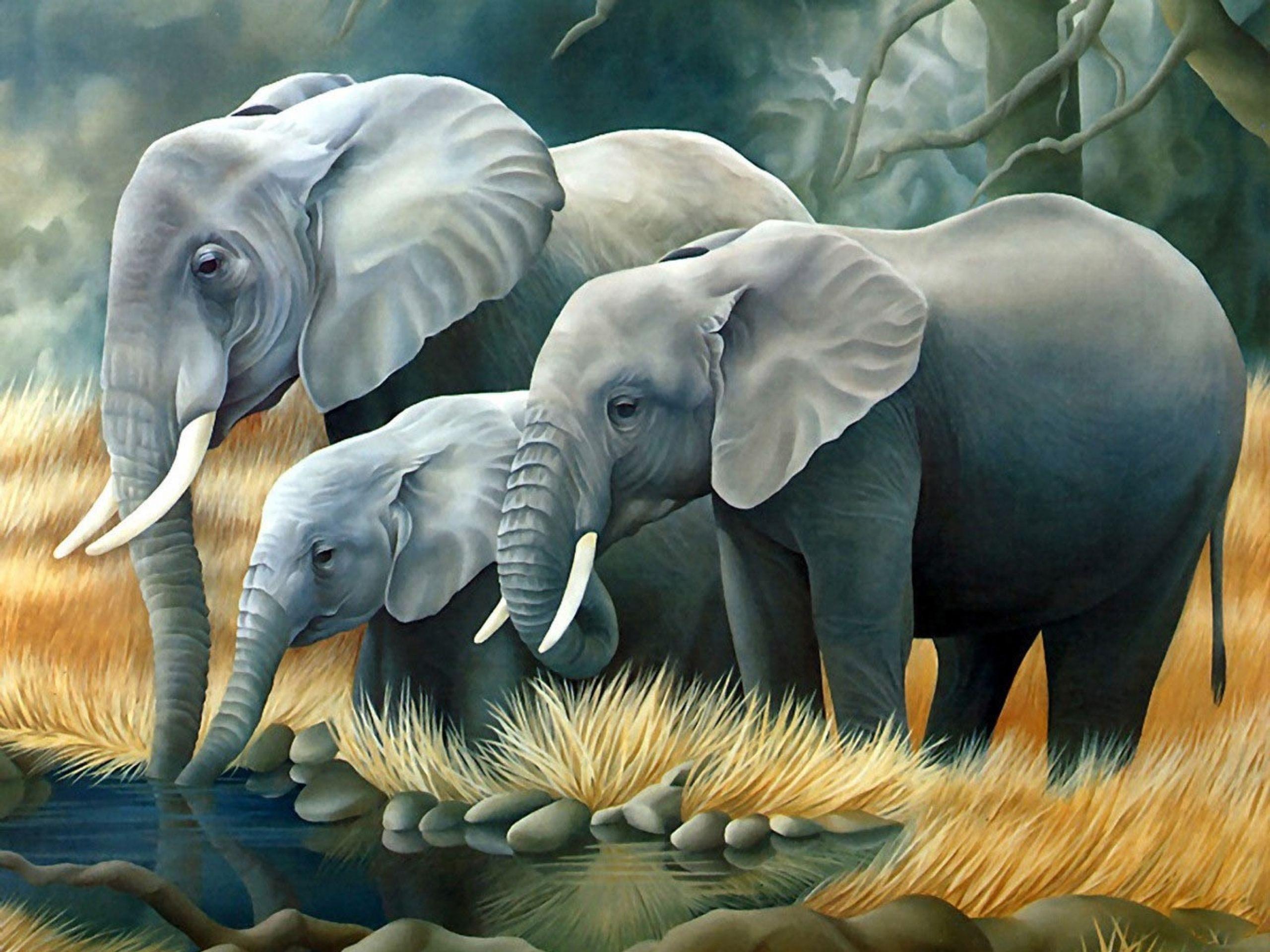 Elephant Art Wallpaper Hd 2560x1920