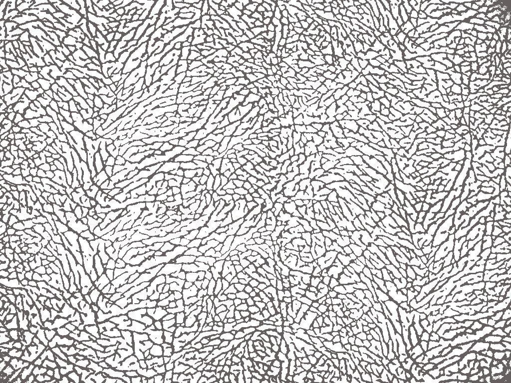 Michael Jordan Elephant Print Wallpaper 1024x768