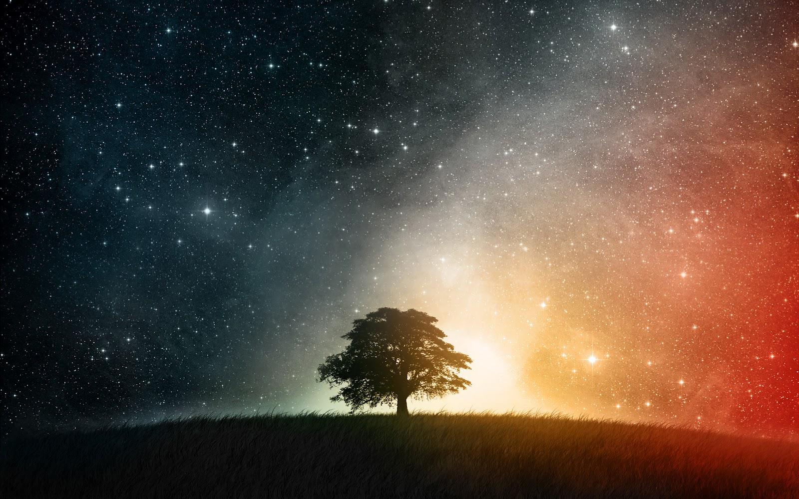 Night Sky Filled With Stars Wallpaper 1600x1000