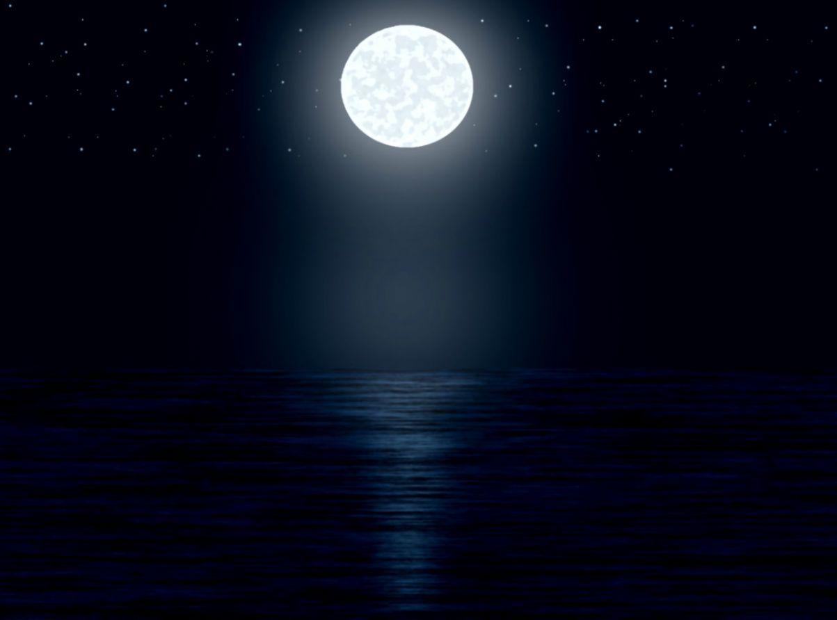 Night With Stars And Moon Wallpaper 1203x892