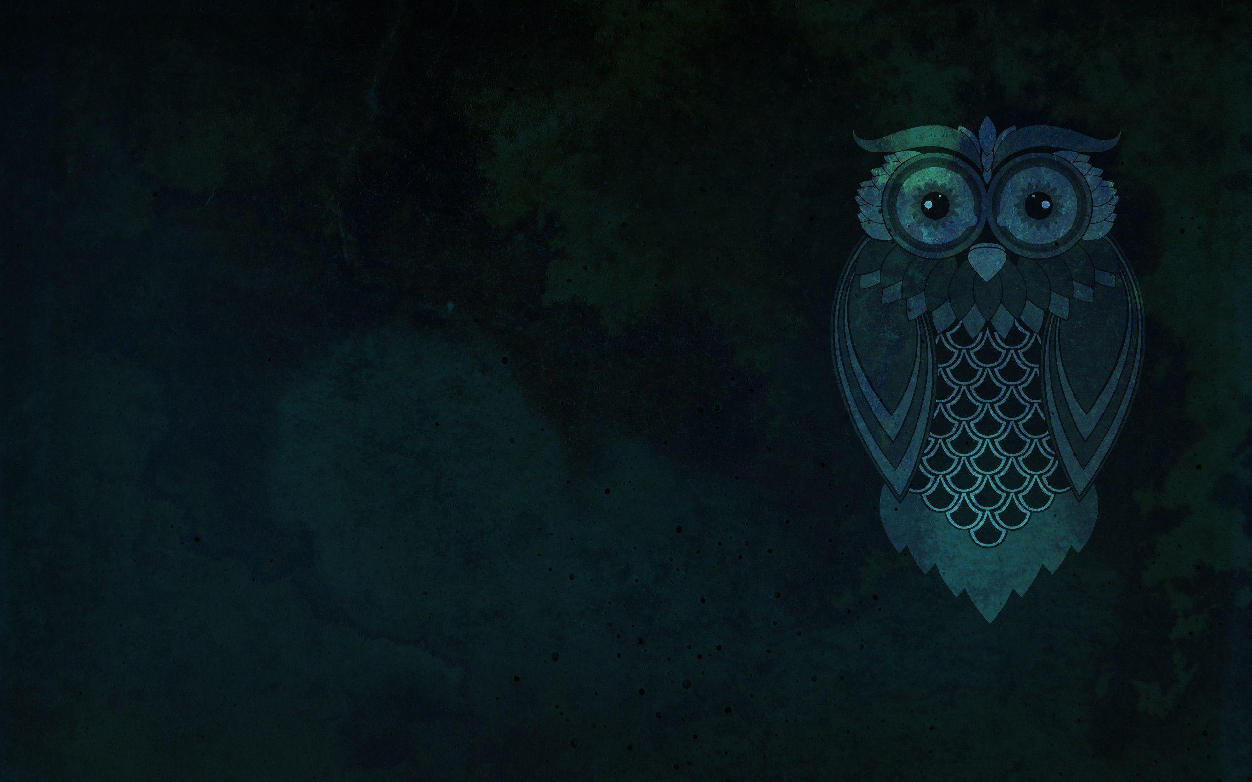 Cartoon Owl Wallpaper Hd 2560x1600