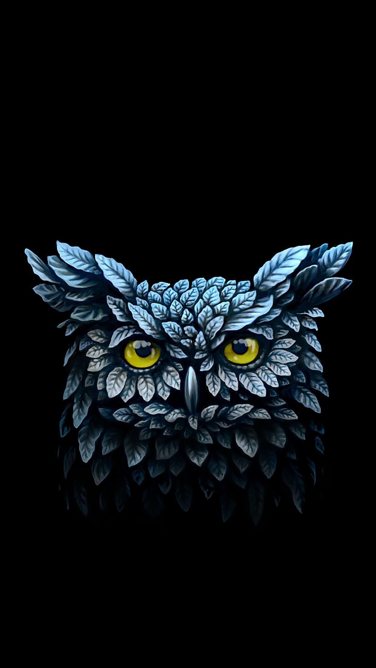 Cute Owl Phone Wallpaper Hd 1242x2208