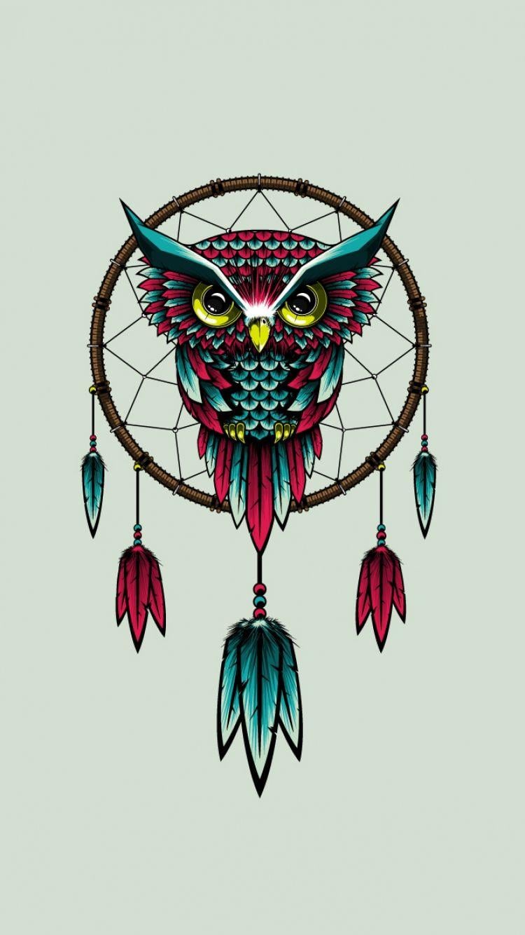 Free Owl Wallpaper Phone 750x1334