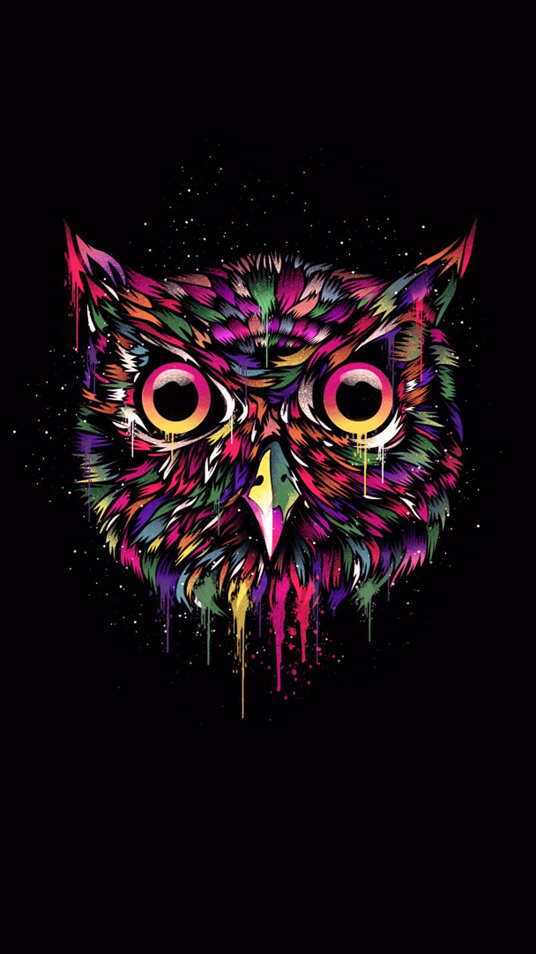 Free Owl Wallpapers For Mobile Phone 1080x1920