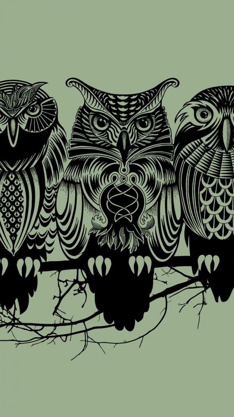 Mobile Phone Wallpaper Cute Owl 750x1334