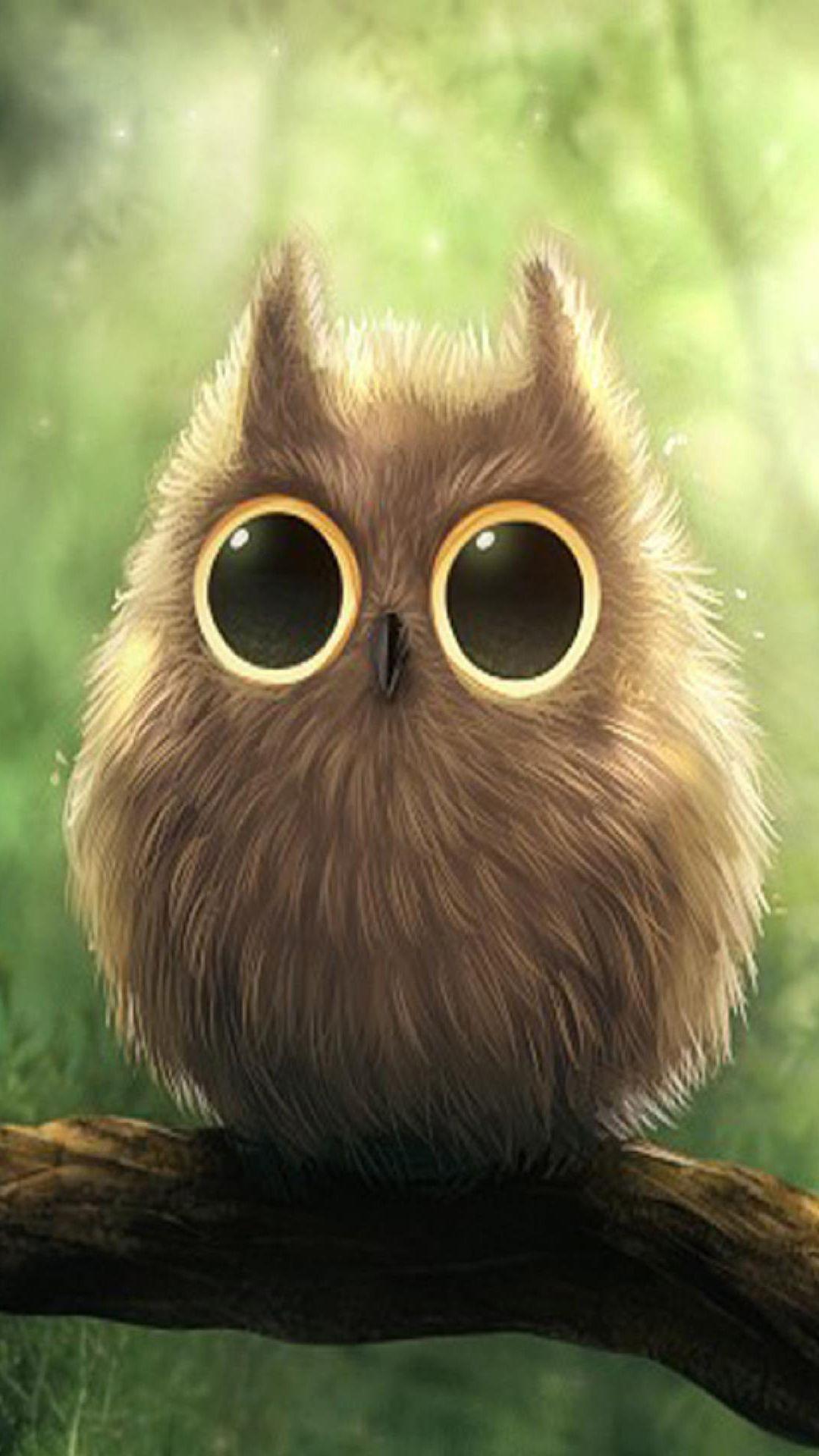 Owl Phone Wallpaper 1080x1920