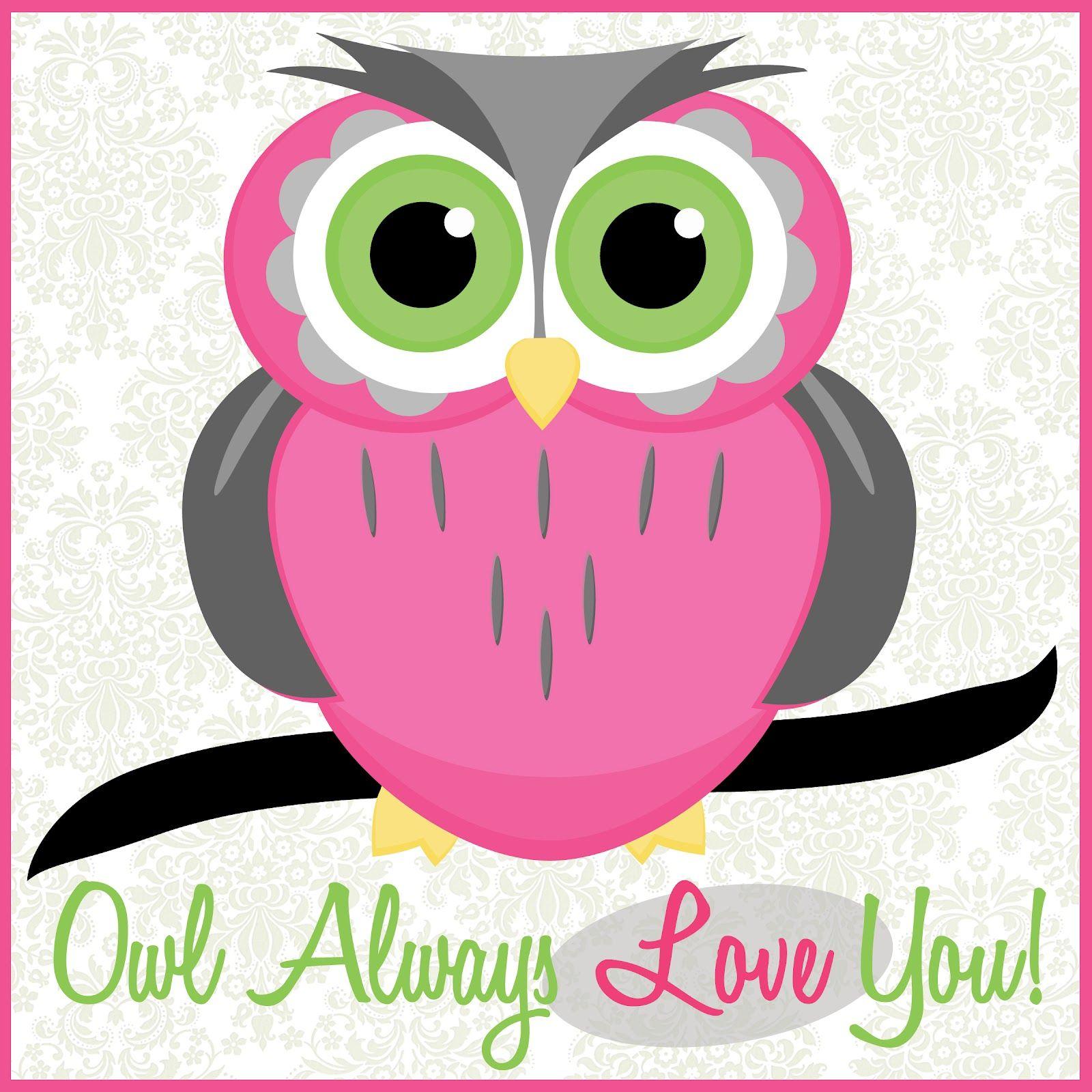 Pink Owl Wallpaper 1600x1600