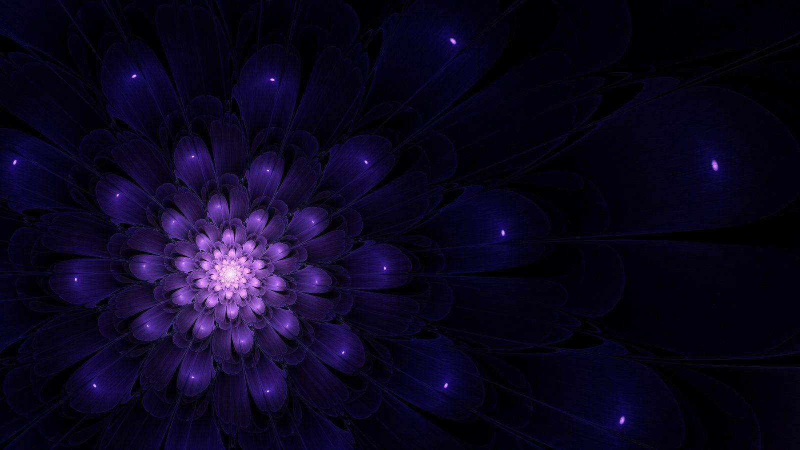 Indigo White Wallpaper 1600x900