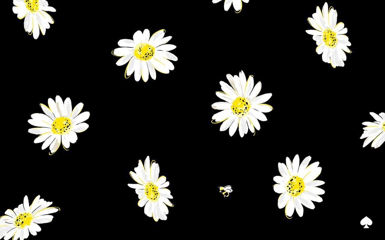 Kate Spade Roses Desktop Wallpaper 1280x800
