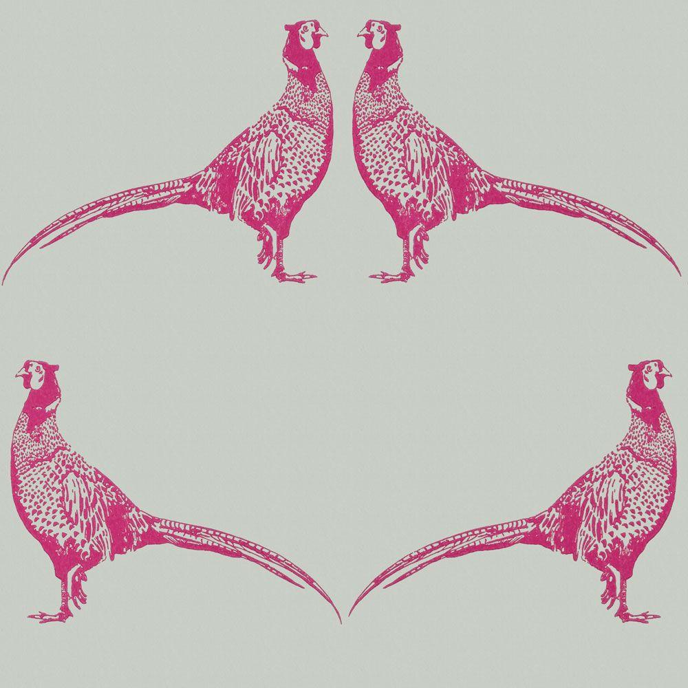 Pheasant Wallpaper Pink 1000x1000