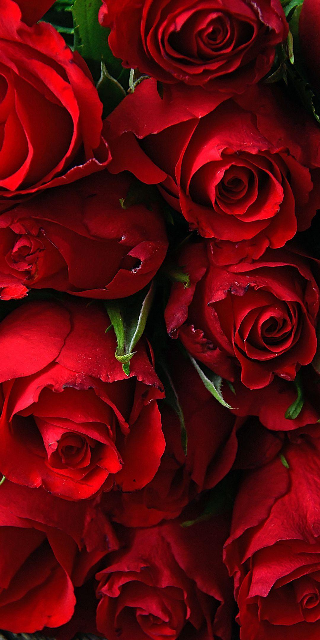 Floral Phone Wallpaper Red 1080x2160