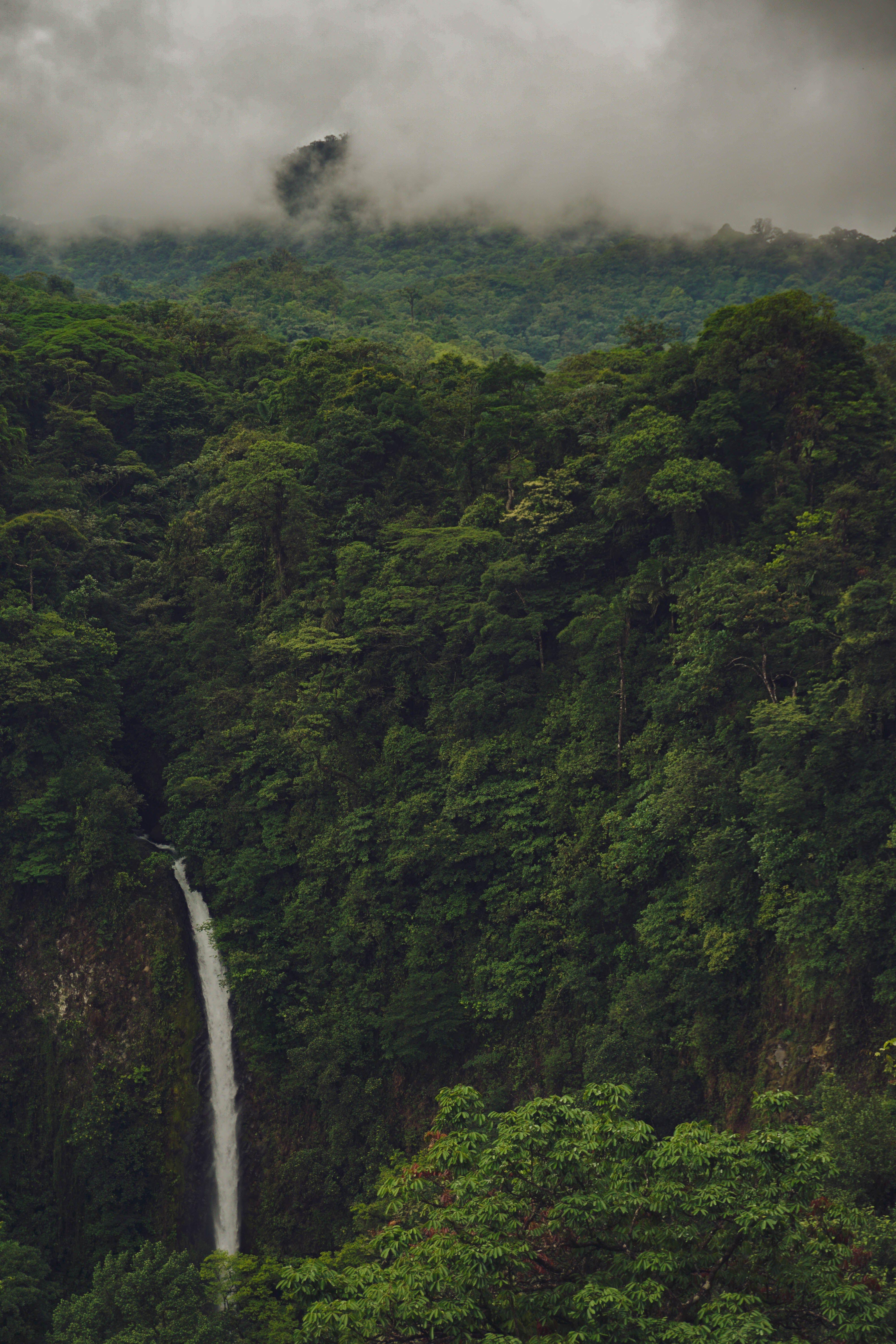 Costa Rica Phone Wallpaper 4000x6000