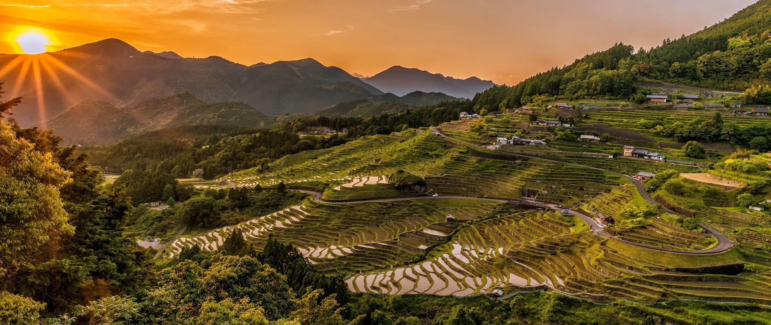 Mu Cang Chai Rice Field Wallpaper 2560x1080