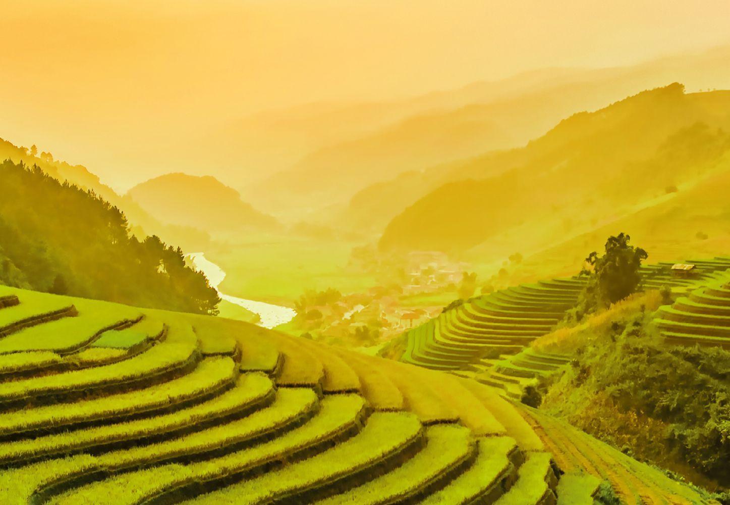 Terraced Rice Fields Yuanyang County Hd Wallpaper 1447x1000