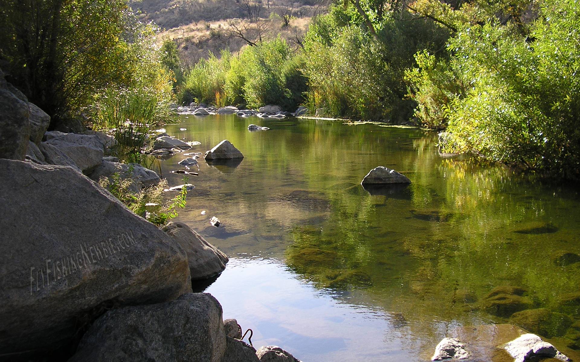 Desktop Background Fly Fishing Wallpapers 1920x1200