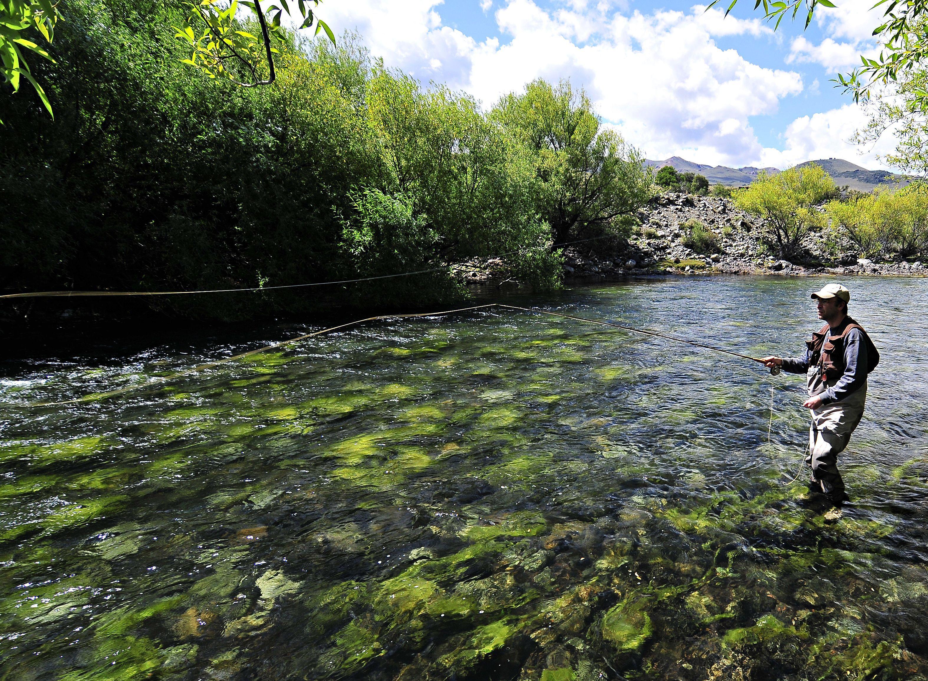 Flying Fish Hd Wallpaper 3148x2311