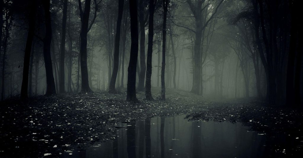 Dark Jungle Wallpapers