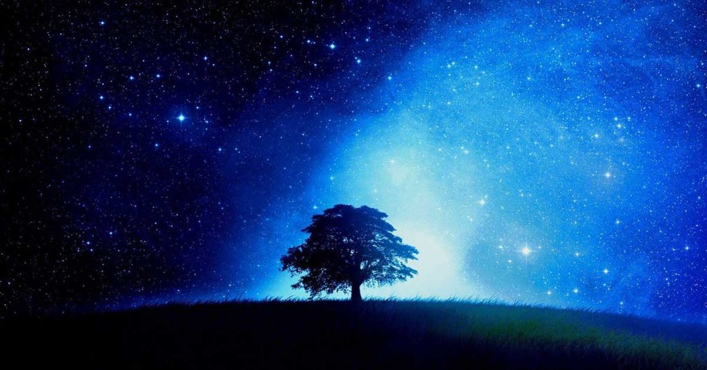 Blue Tree Wallpapers