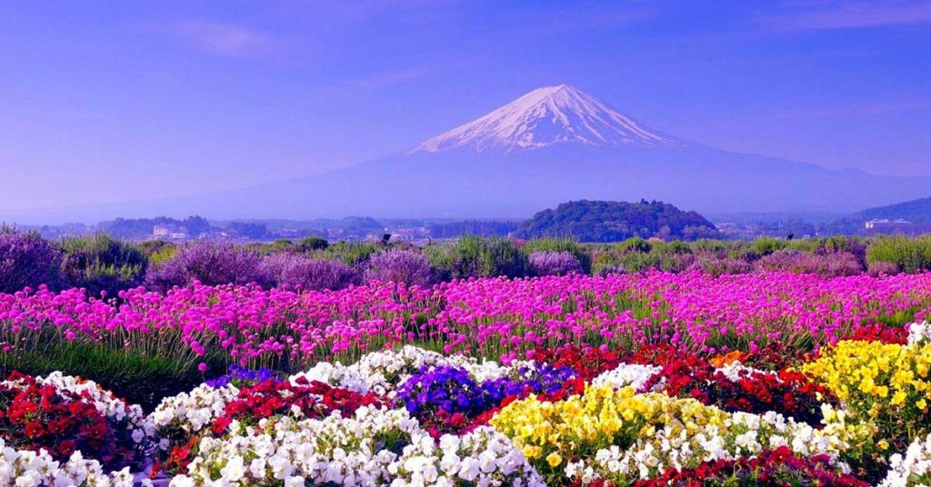 Spring Season Wallpapers