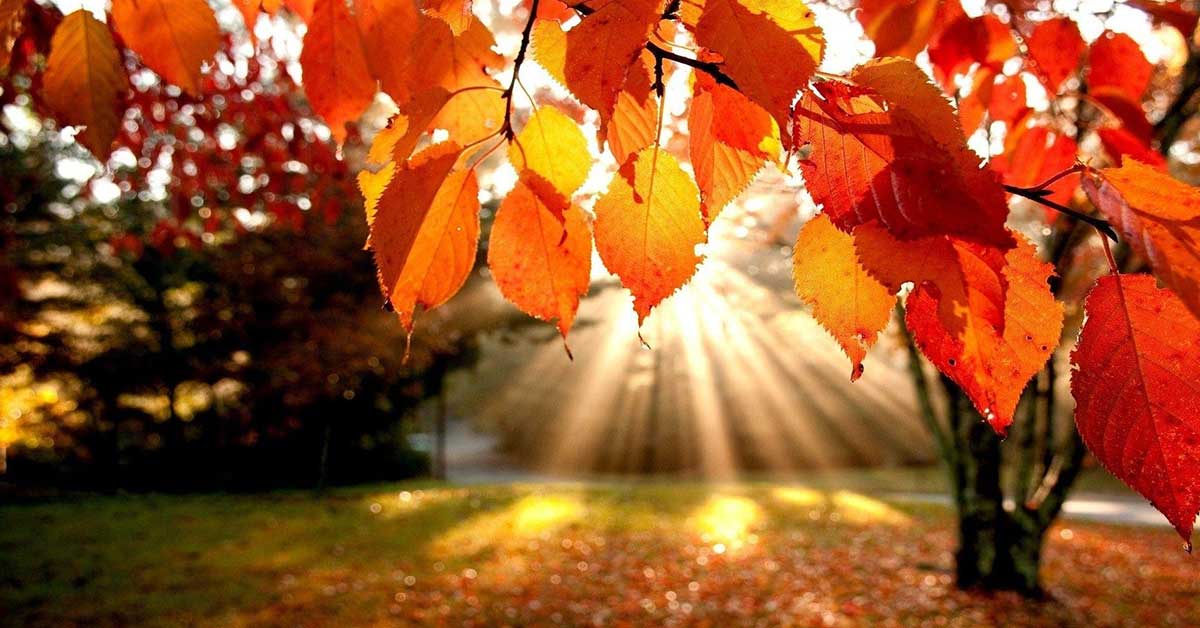 Fall Scenes Wallpapers [47+ Free Background Images] - WallpaperGap
