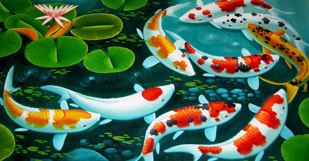Koi Fish 3D Wallpapers