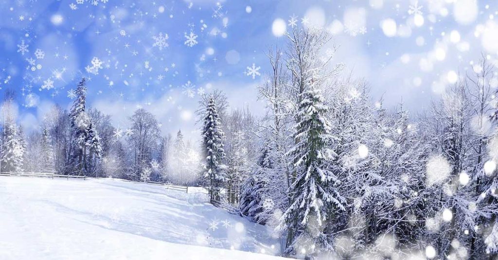 Winter Scene Wallpapers