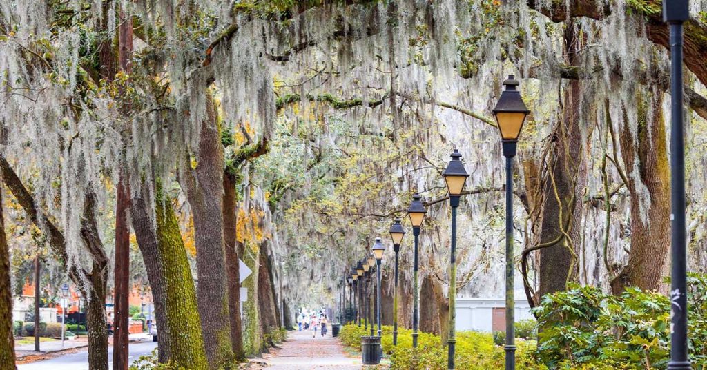 Savannah Ga Wallpapers