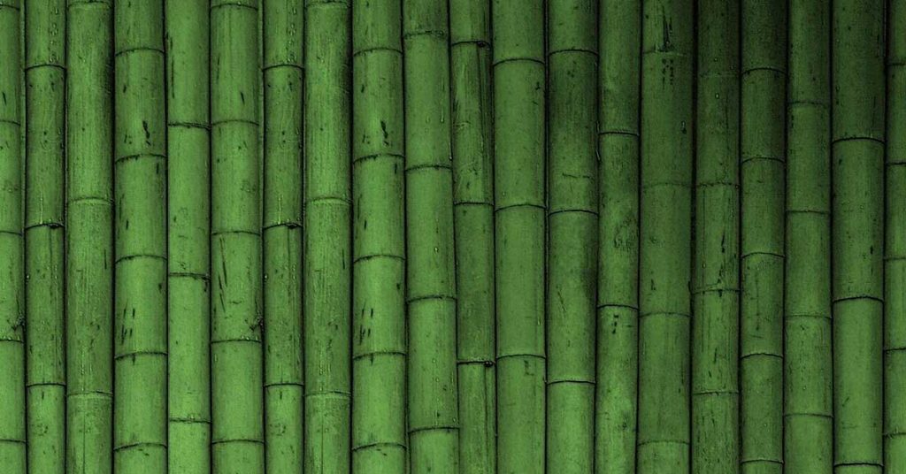 Green Bamboo Wallpapers
